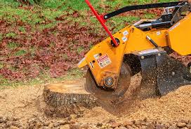 Best Tree Risk Assessment  in Cherry Valley, CA