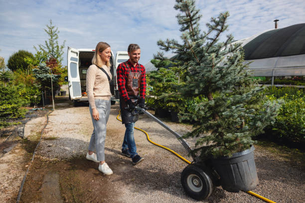 Best Root Management and Removal  in Cherry Valley, CA